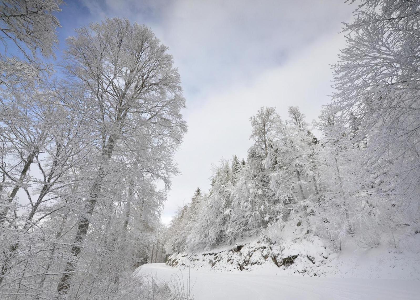 Gite Face Au Vercors Villa Marches Exterior photo